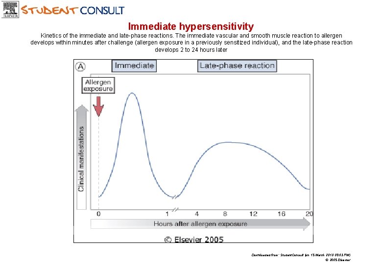 Immediate hypersensitivity Kinetics of the immediate and late-phase reactions. The immediate vascular and smooth