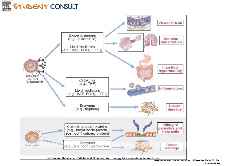 Downloaded from: Student. Consult (on 18 November 2008 01: 51 PM) © 2005 Elsevier