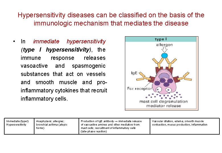Hypersensitivity diseases can be classified on the basis of the immunologic mechanism that mediates