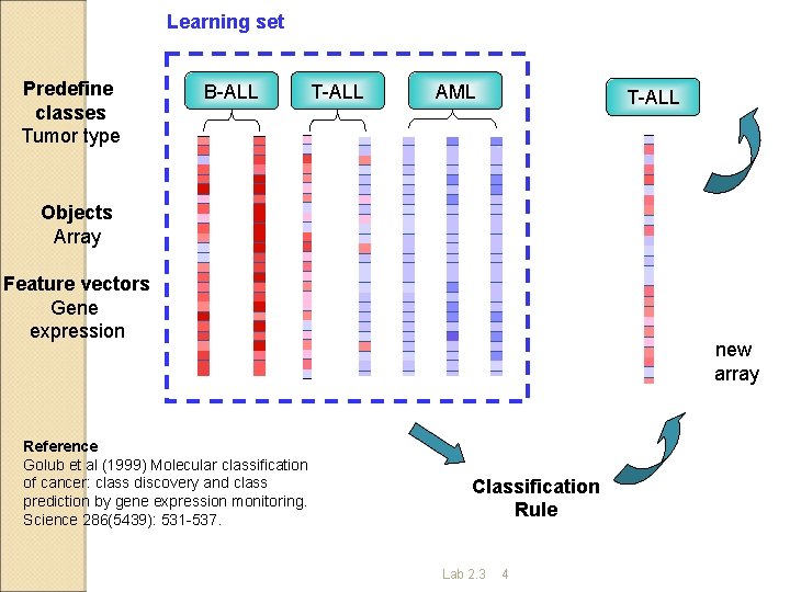 Learning set Predefine classes Tumor type B-ALL T-ALL AML T-ALL ? Objects Array Feature