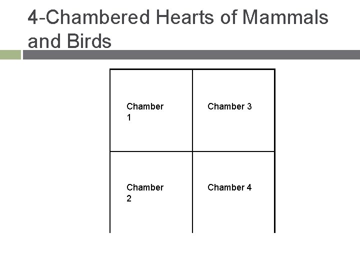 4 -Chambered Hearts of Mammals and Birds Chamber 1 Chamber 3 Chamber 2 Chamber