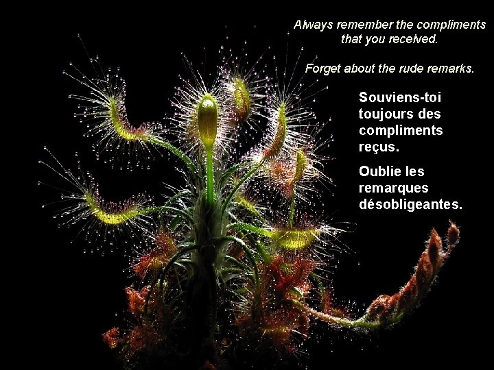 Always remember the compliments that you received. Forget about the rude remarks. Souviens-toi toujours