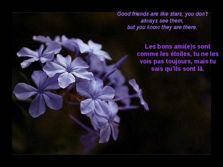 Good friends are like stars, you don’t always see them, but you know they