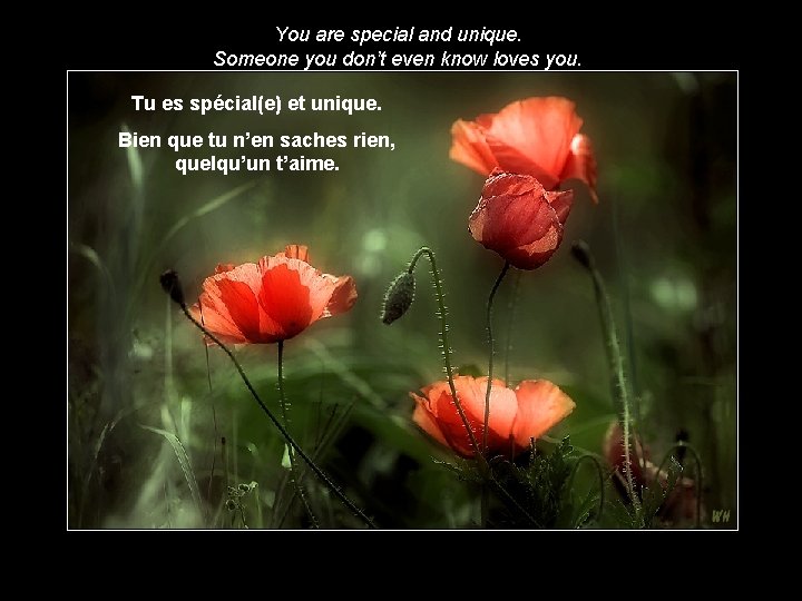 You are special and unique. Someone you don’t even know loves you. Tu es