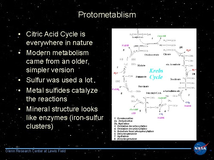 Protometablism • Citric Acid Cycle is everywhere in nature • Modern metabolism came from