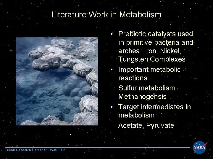 Literature Work in Metabolism • Prebiotic catalysts used in primitive bacteria and archea: Iron,