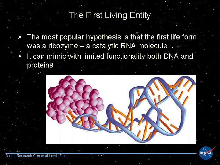The First Living Entity • The most popular hypothesis is that the first life