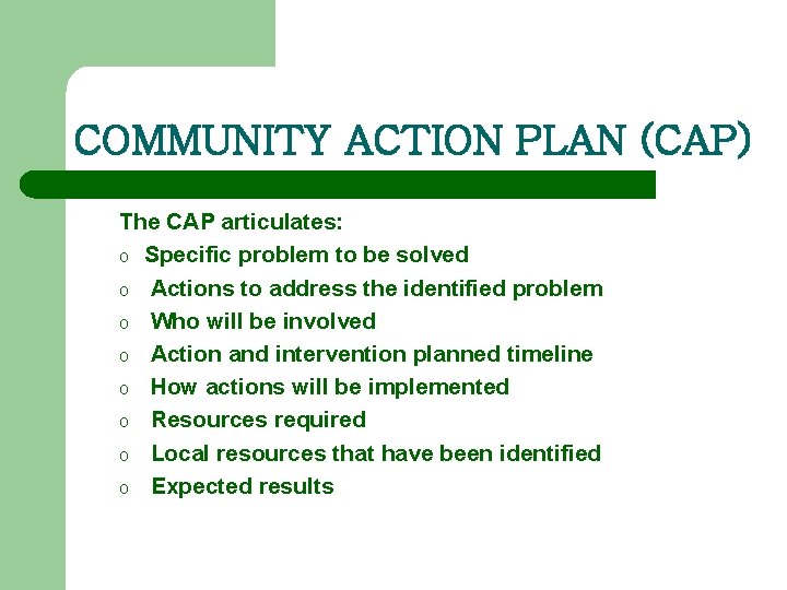 COMMUNITY ACTION PLAN (CAP) The CAP articulates: o Specific problem to be solved o
