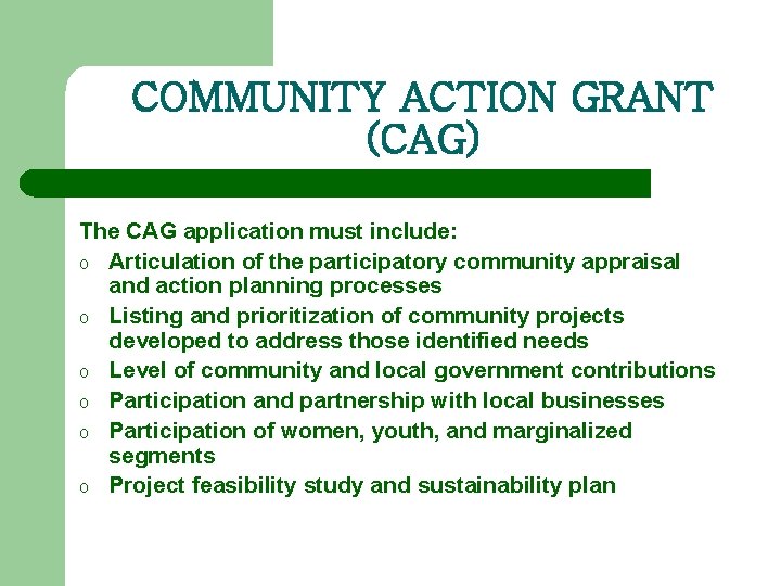 COMMUNITY ACTION GRANT (CAG) The CAG application must include: o Articulation of the participatory