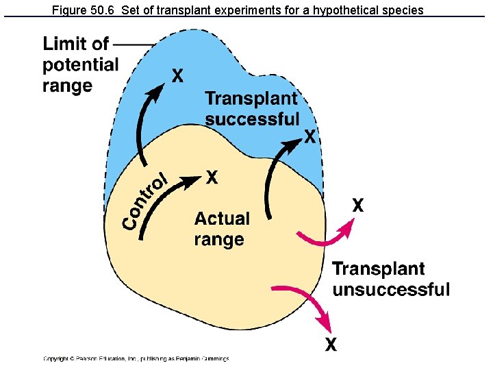 Figure 50. 6 Set of transplant experiments for a hypothetical species 