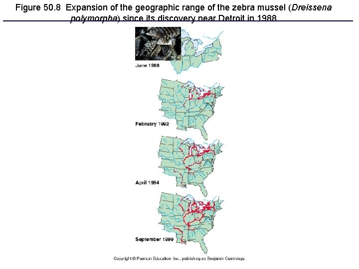 Figure 50. 8 Expansion of the geographic range of the zebra mussel (Dreissena polymorpha)