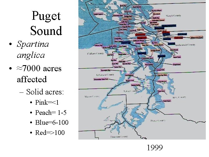 Puget Sound • Spartina anglica • ≈7000 acres affected – Solid acres: • •