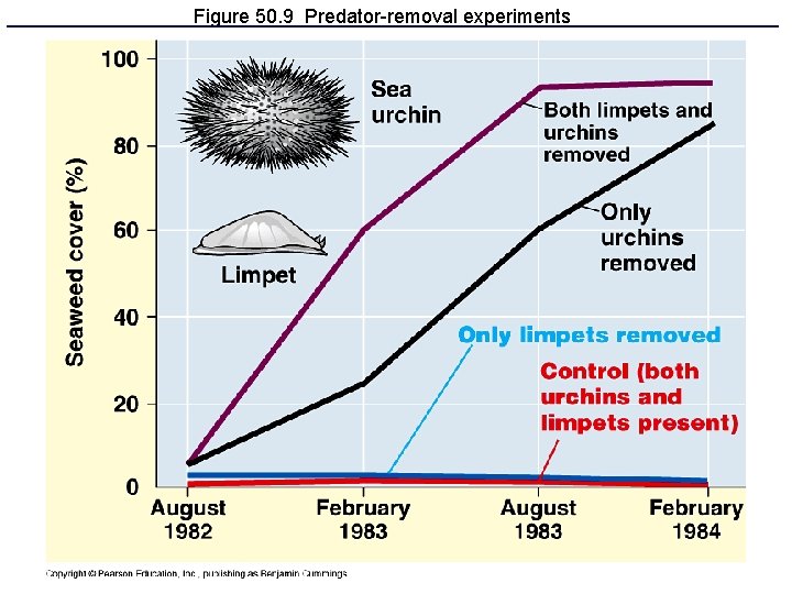 Figure 50. 9 Predator-removal experiments 