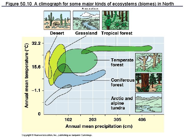 Figure 50. 10 A climograph for some major kinds of ecosystems (biomes) in North