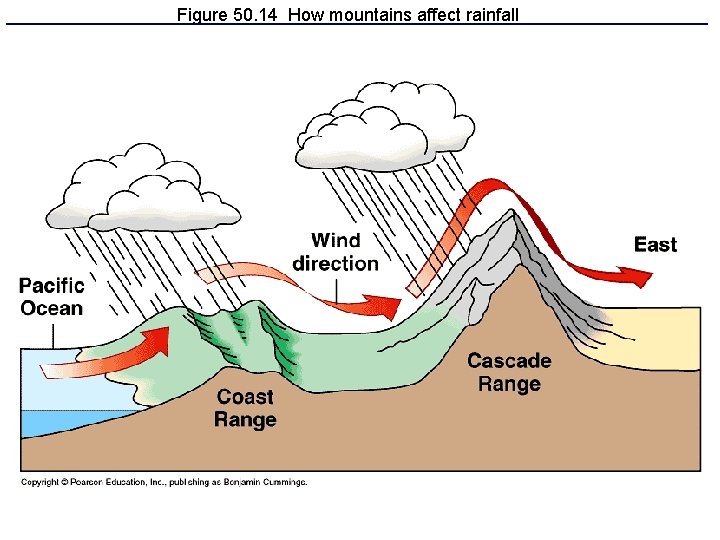 Figure 50. 14 How mountains affect rainfall 