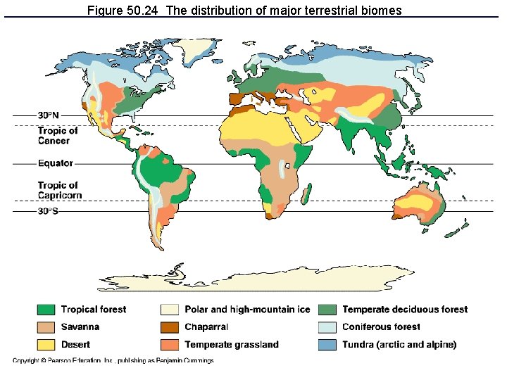 Figure 50. 24 The distribution of major terrestrial biomes 