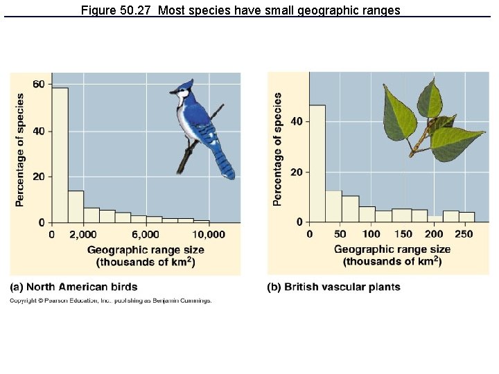 Figure 50. 27 Most species have small geographic ranges 