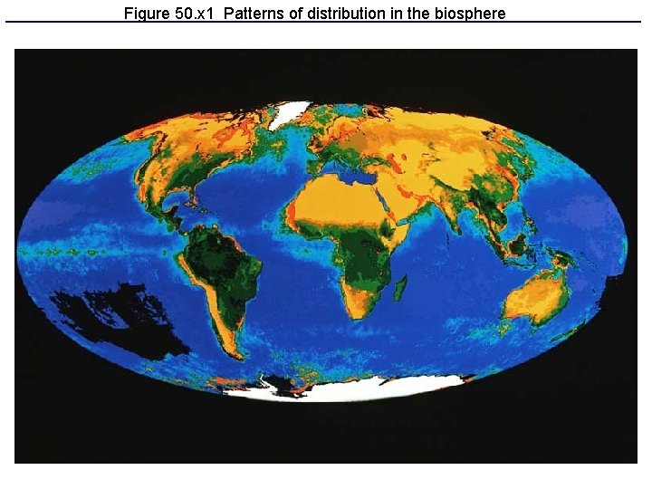 Figure 50. x 1 Patterns of distribution in the biosphere 