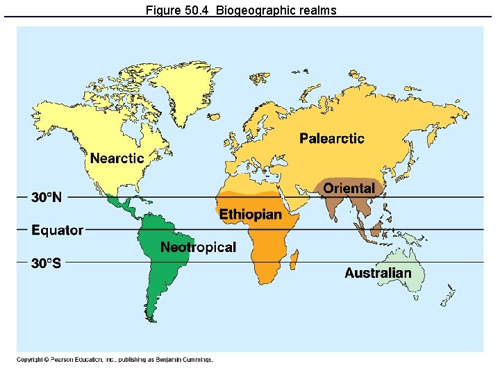 Figure 50. 4 Biogeographic realms 