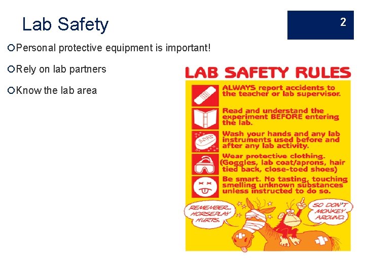 Lab Safety Personal protective equipment is important! Rely on lab partners Know the lab