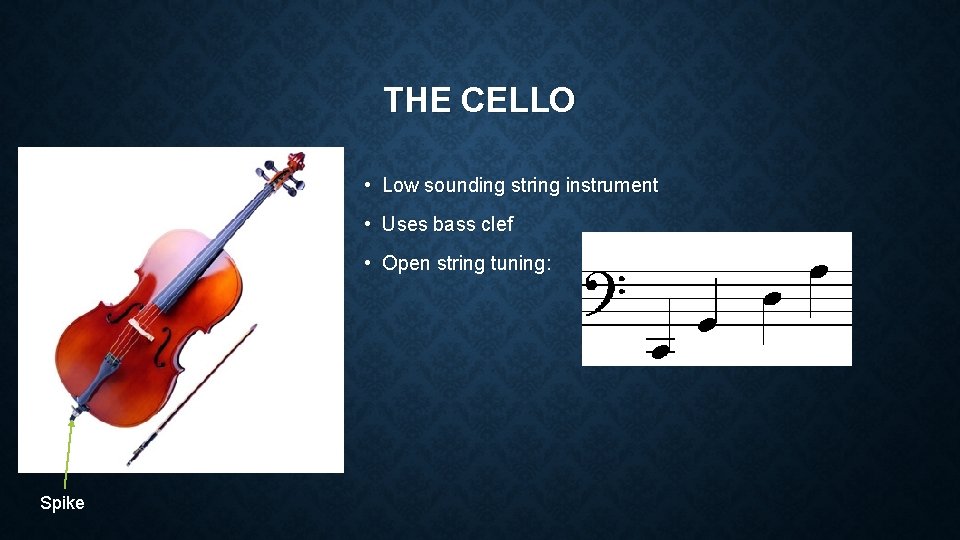 THE CELLO • Low sounding string instrument • Uses bass clef • Open string