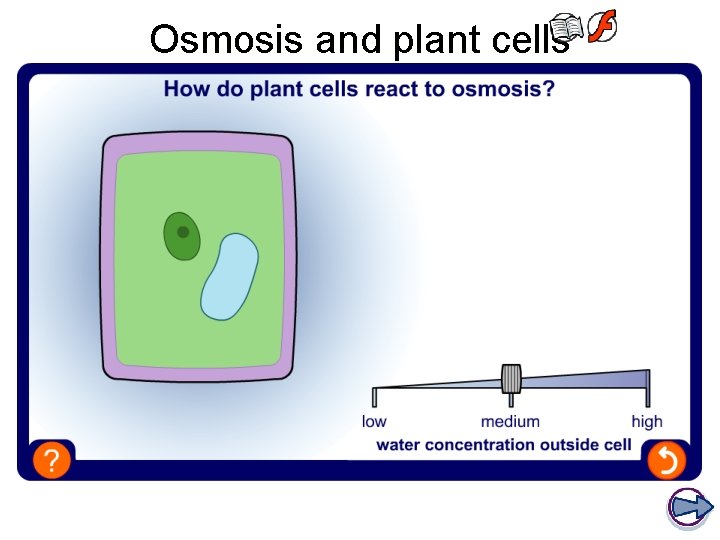 Osmosis and plant cells 