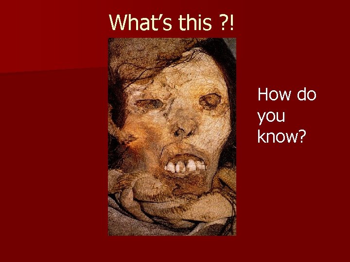 Body n the form and rate of