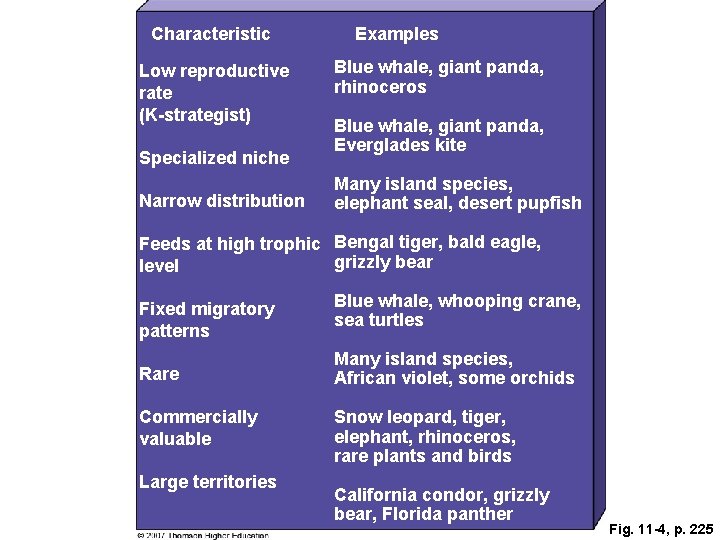 Characteristic Low reproductive rate (K-strategist) Specialized niche Narrow distribution Examples Blue whale, giant panda,