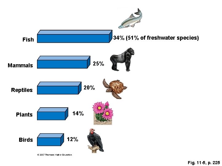 34% (51% of freshwater species) Fish 25% Mammals 20% Reptiles Plants Birds 14% 12%