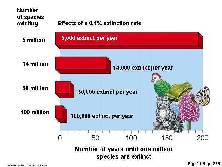 Number of species existing 5 million 14 million 50 million 100 million Effects of