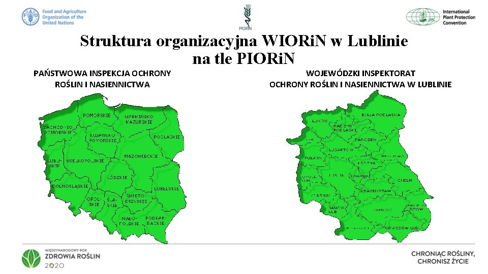Struktura organizacyjna WIORi. N w Lublinie na tle PIORi. N PAŃSTWOWA INSPEKCJA OCHRONY ROŚLIN