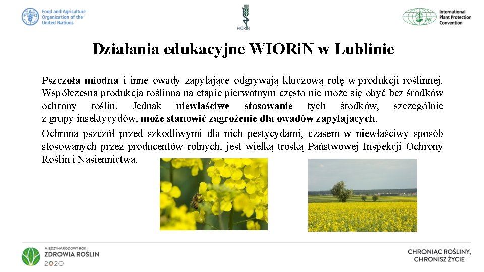 Działania edukacyjne WIORi. N w Lublinie Pszczoła miodna i inne owady zapylające odgrywają kluczową