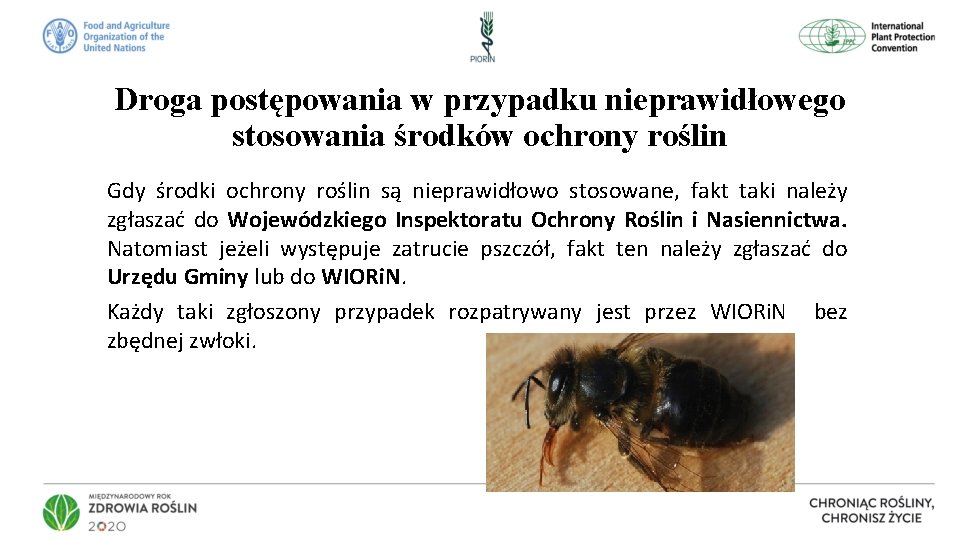 Droga postępowania w przypadku nieprawidłowego stosowania środków ochrony roślin Gdy środki ochrony roślin są