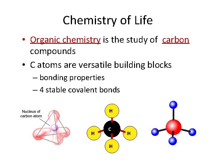 Chemistry of Life • Organic chemistry is the study of carbon compounds • C