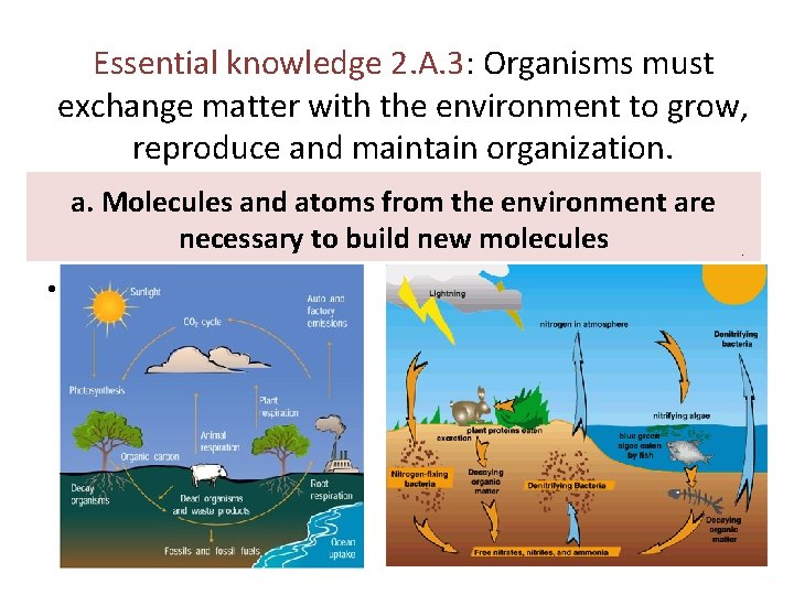 Essential knowledge 2. A. 3: Organisms must exchange matter with the environment to grow,