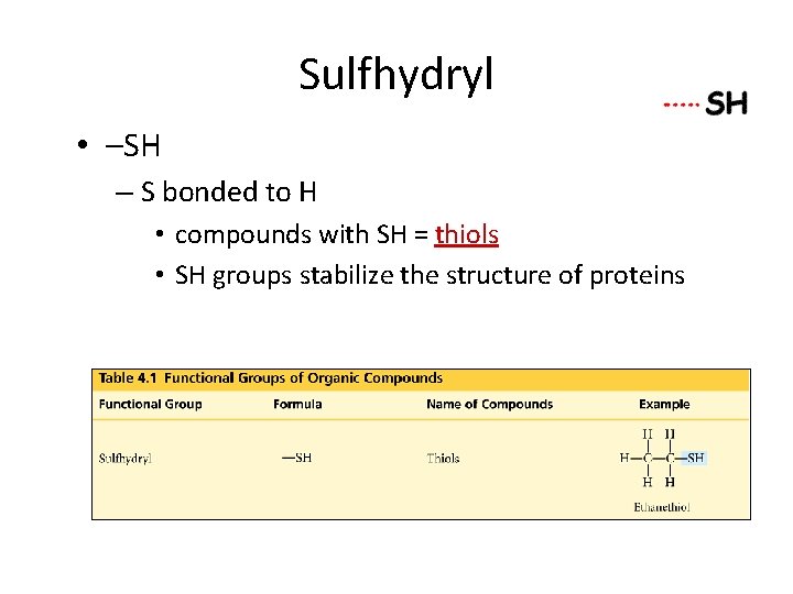 Sulfhydryl • –SH – S bonded to H • compounds with SH = thiols