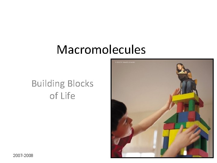 Macromolecules Building Blocks of Life 2007 -2008 