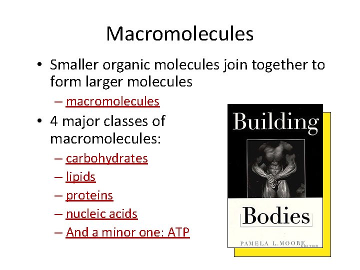 Macromolecules • Smaller organic molecules join together to form larger molecules – macromolecules •