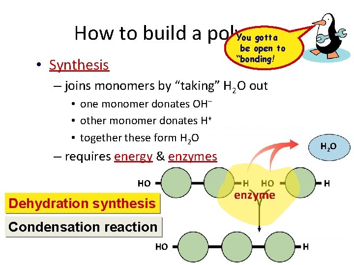 How to build a polymer You gotta be open to “bonding! • Synthesis –