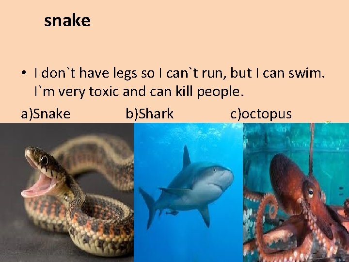 snake • I don`t have legs so I can`t run, but I can swim.
