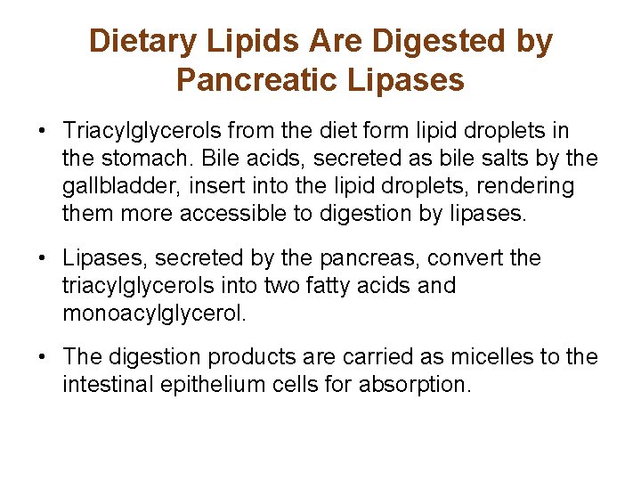 Dietary Lipids Are Digested by Pancreatic Lipases • Triacylglycerols from the diet form lipid