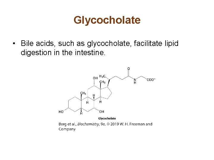Glycocholate • Bile acids, such as glycocholate, facilitate lipid digestion in the intestine. 