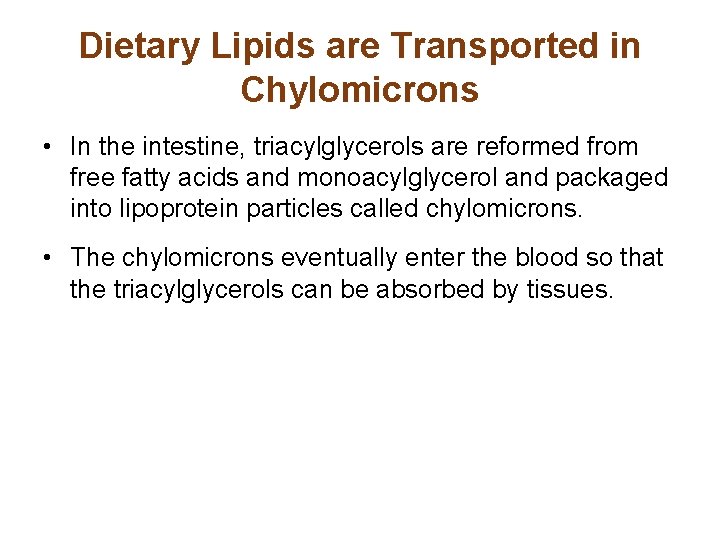 Dietary Lipids are Transported in Chylomicrons • In the intestine, triacylglycerols are reformed from
