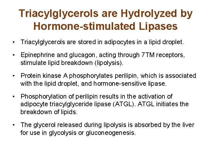 Triacylglycerols are Hydrolyzed by Hormone-stimulated Lipases • Triacylglycerols are stored in adipocytes in a