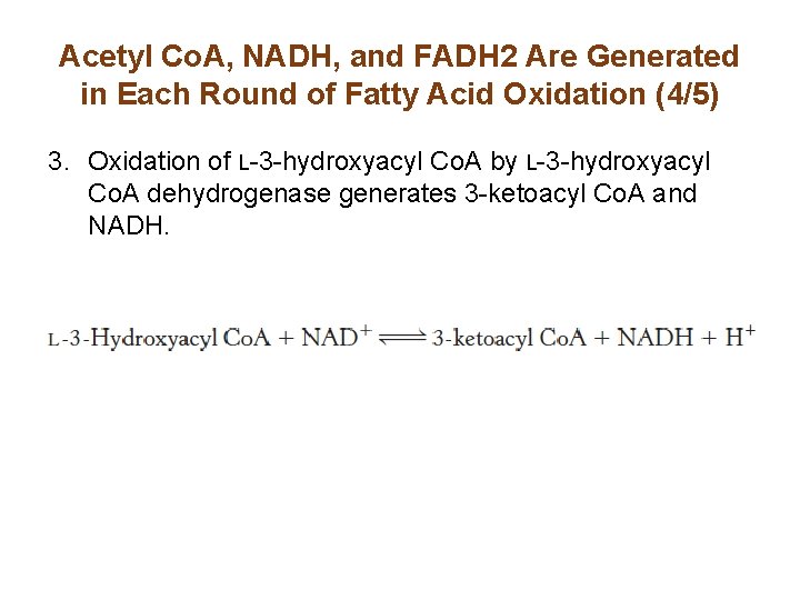 Acetyl Co. A, NADH, and FADH 2 Are Generated in Each Round of Fatty