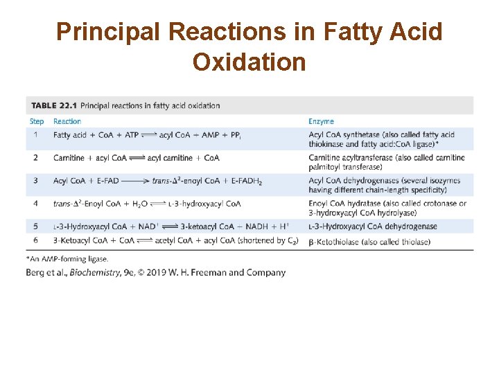 Principal Reactions in Fatty Acid Oxidation 