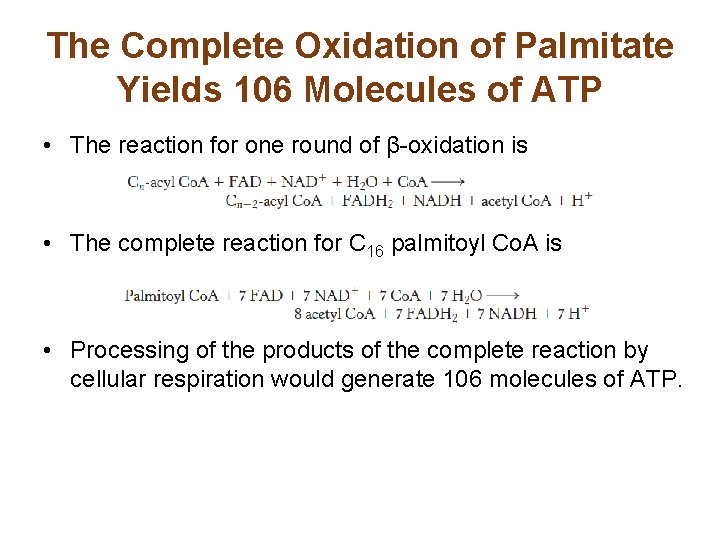 The Complete Oxidation of Palmitate Yields 106 Molecules of ATP • The reaction for