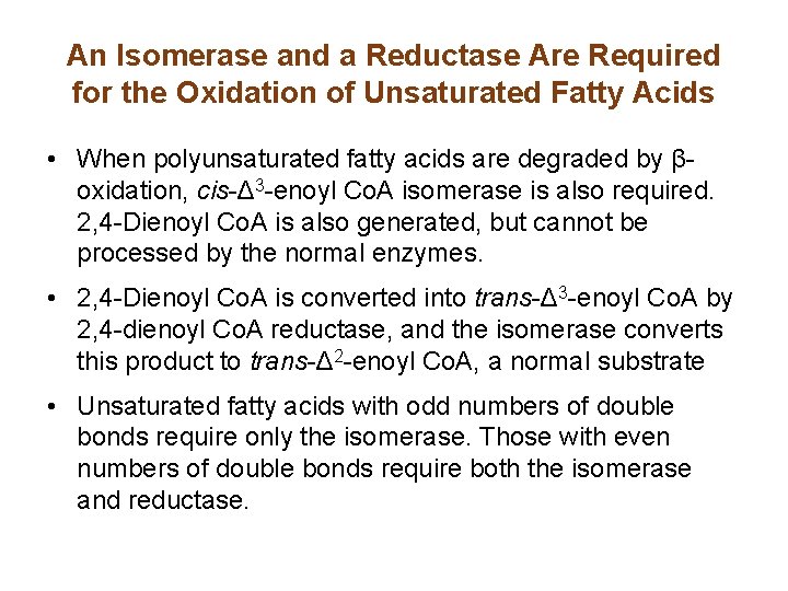 An Isomerase and a Reductase Are Required for the Oxidation of Unsaturated Fatty Acids