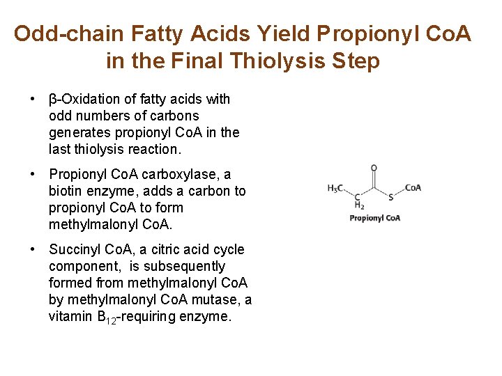Odd-chain Fatty Acids Yield Propionyl Co. A in the Final Thiolysis Step • β-Oxidation