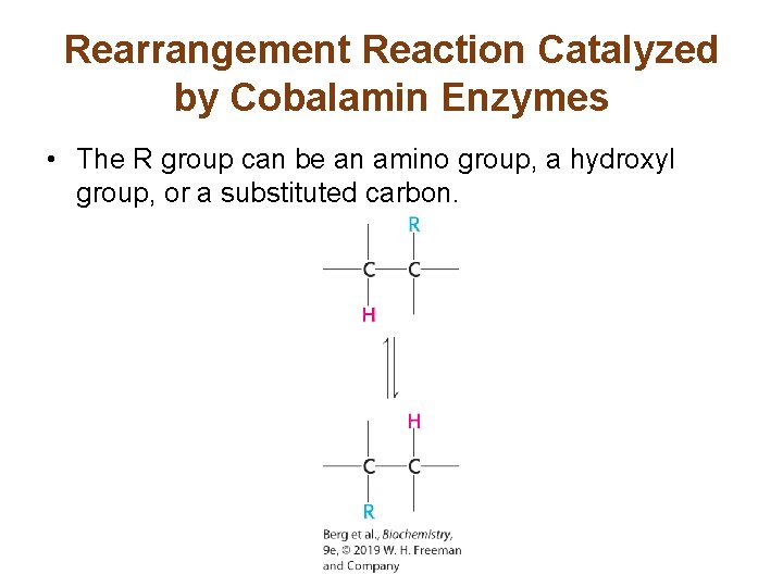 Rearrangement Reaction Catalyzed by Cobalamin Enzymes • The R group can be an amino
